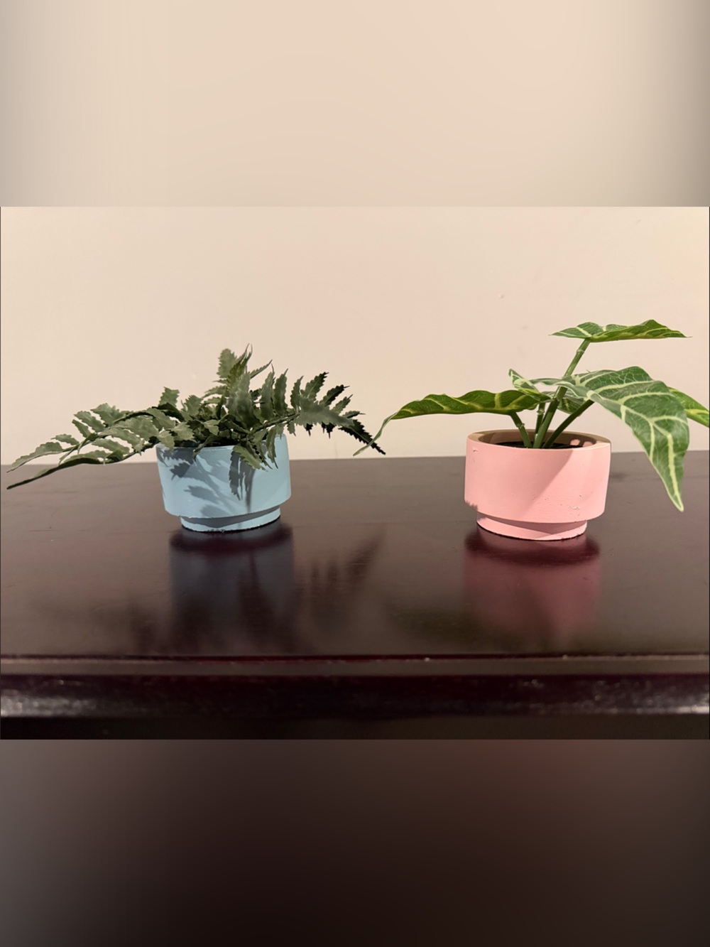 2 Piece Modern Pink and Blue Ceramic Planters with Artificial Foliage